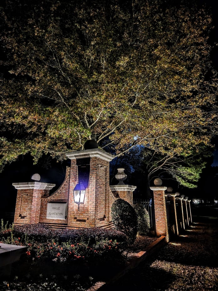 How to Choose the Right Outdoor Lighting for Your Yard